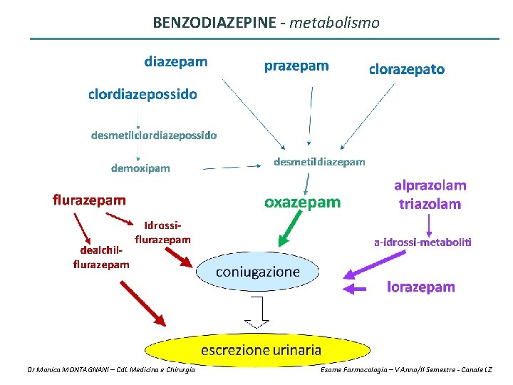 BENZODIAZEPINE - metabolismo Dr Monica MONTAGNANI – Cd. L Medicina e Chirurgia Esame Farmacologia