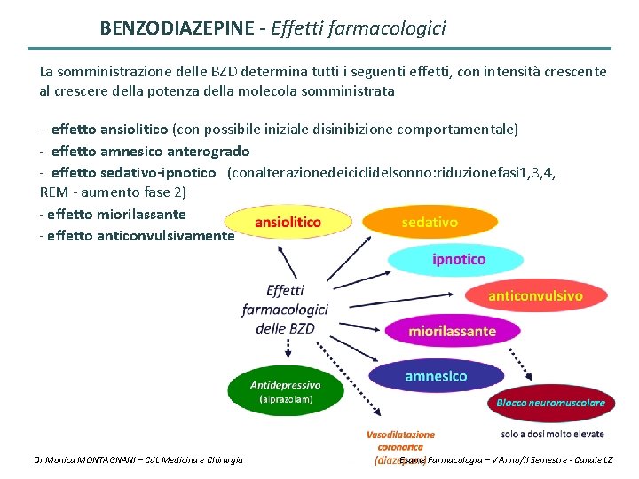 BENZODIAZEPINE - Effetti farmacologici La somministrazione delle BZD determina tutti i seguenti effetti, con