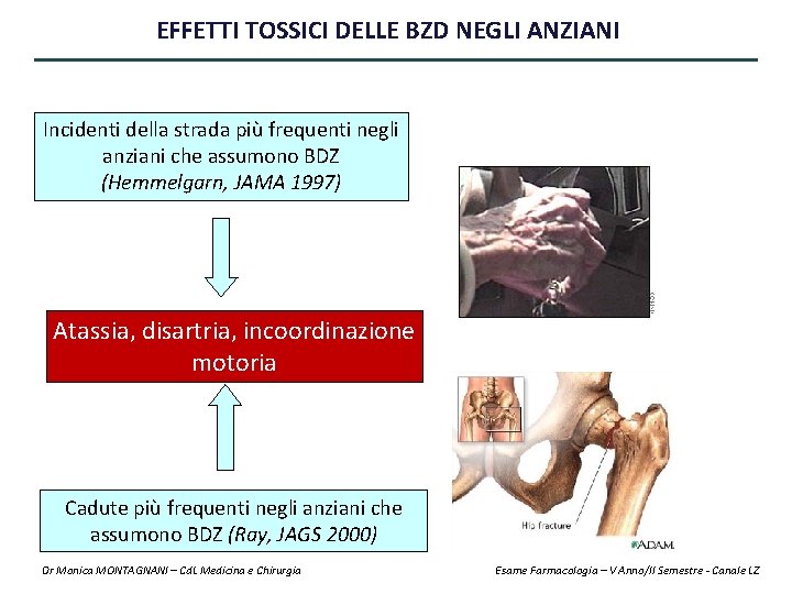 EFFETTI TOSSICI DELLE BZD NEGLI ANZIANI Incidenti della strada più frequenti negli anziani che