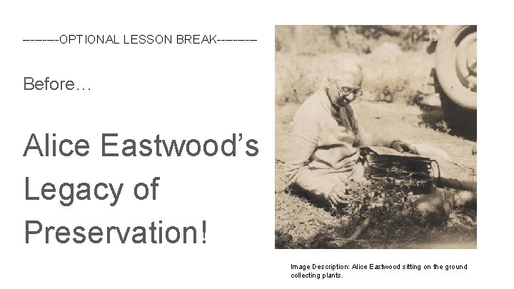 -----OPTIONAL LESSON BREAK----- Before… Alice Eastwood’s Legacy of Preservation! Image Description: Alice Eastwood sitting