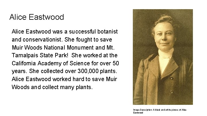 Alice Eastwood was a successful botanist and conservationist. She fought to save Muir Woods