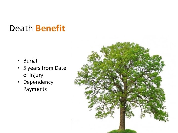Death Benefit • Burial • 5 years from Date of Injury • Dependency Payments
