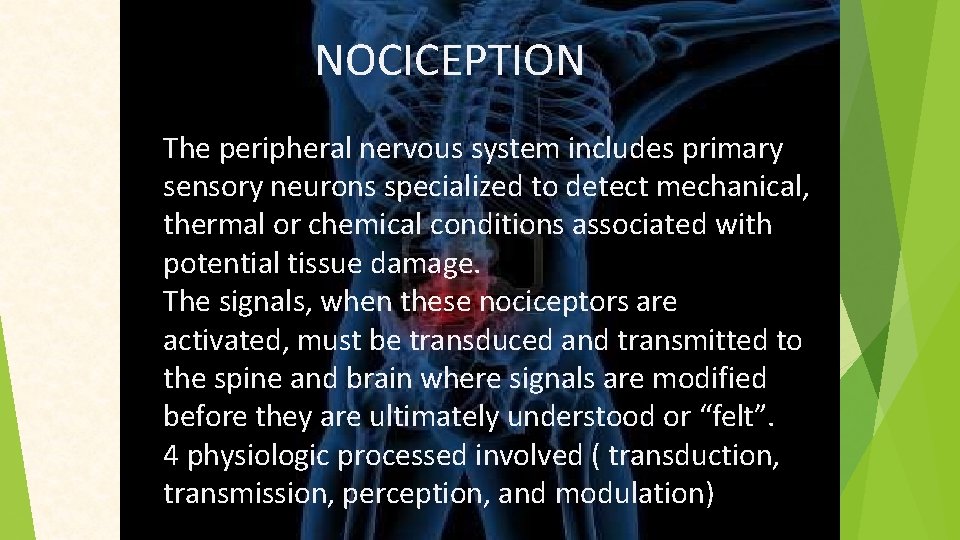 NOCICEPTION The peripheral nervous system includes primary sensory neurons specialized to detect mechanical, thermal