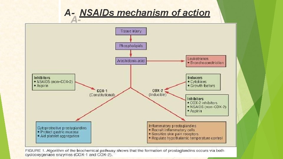 A- NSAIDs mechanism of action 