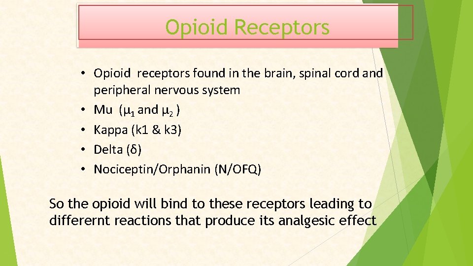 Opioid Receptors • Opioid receptors found in the brain, spinal cord and peripheral nervous