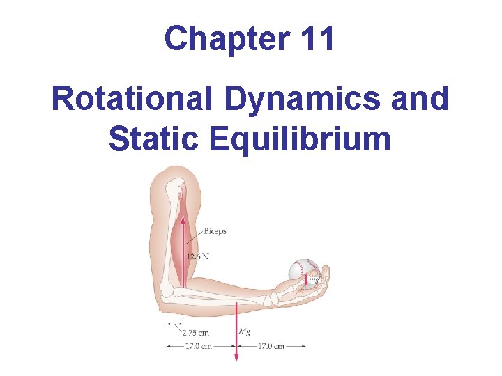 Chapter 11 Rotational Dynamics and Static Equilibrium 