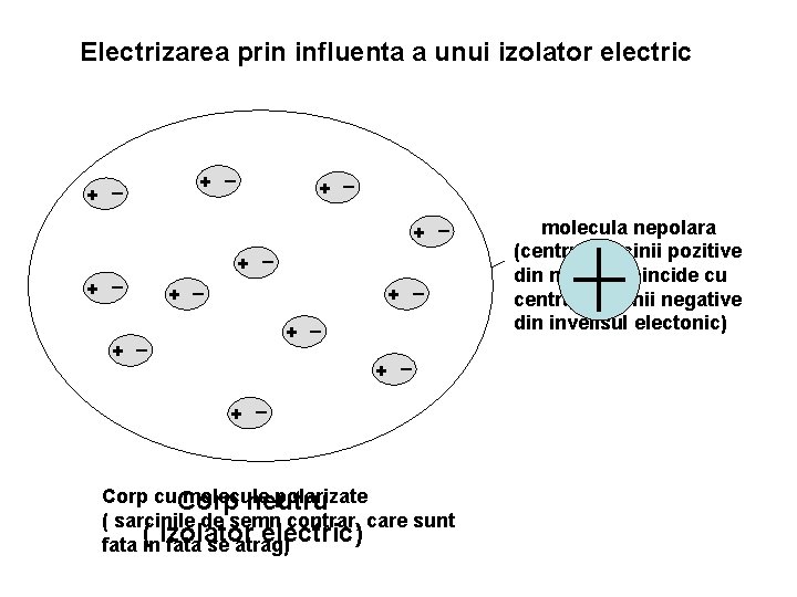 Electrizarea prin influenta a unui izolator electric + + + _ _ + +