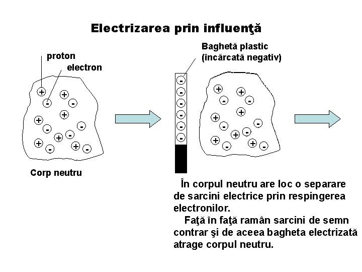 Electrizarea prin influenţă Baghetă plastic (încărcată negativ) proton electron + + - + -