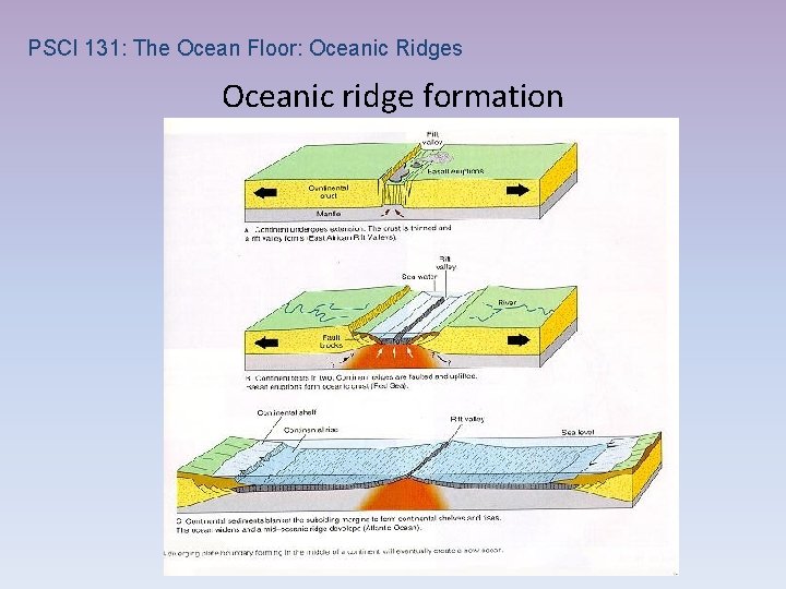 PSCI 131: The Ocean Floor: Oceanic Ridges Oceanic ridge formation 