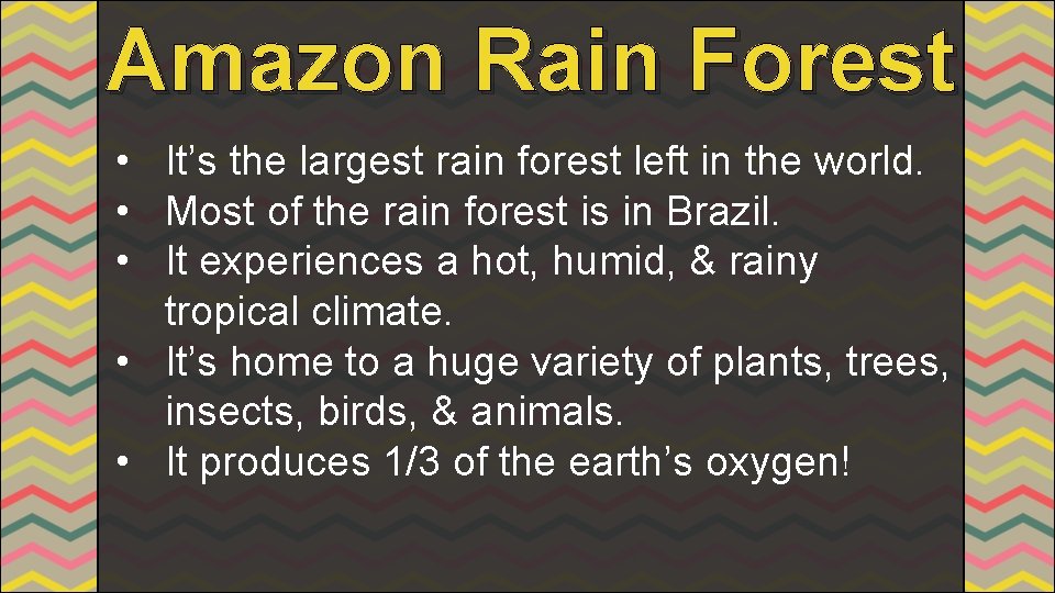Amazon Rain Forest • It’s the largest rain forest left in the world. •