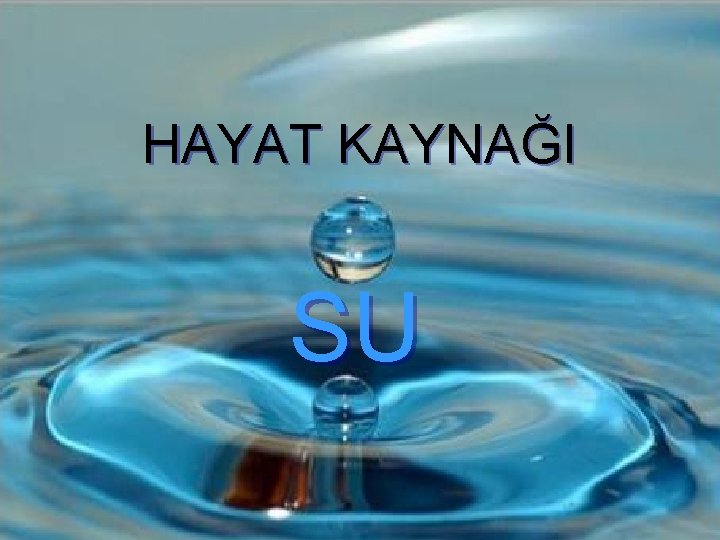 HAYAT KAYNAĞI SU 