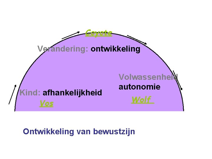 Coyote Verandering: ontwikkeling Kind: afhankelijkheid Vos Volwassenheid autonomie Wolf Ontwikkeling van bewustzijn 