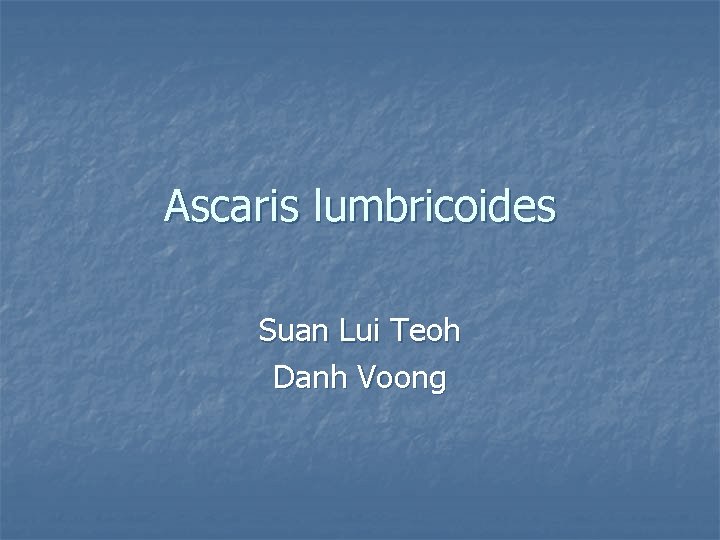 Ascaris lumbricoides Suan Lui Teoh Danh Voong 