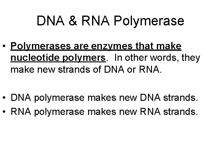 DNA & RNA Polymerase • Polymerases are enzymes that make nucleotide polymers. In other