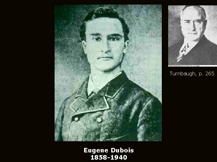 Turnbaugh, p. 265 Eugene Dubois 1858 -1940 
