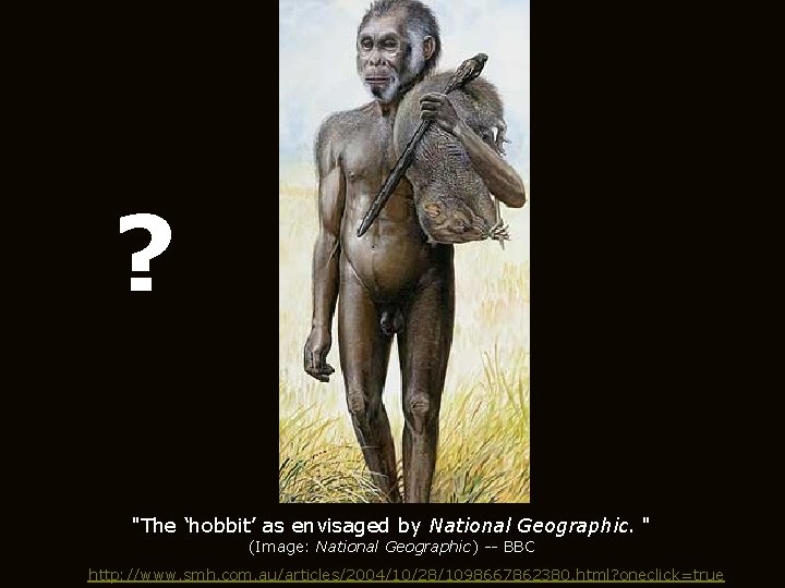 ? "The ‘hobbit’ as envisaged by National Geographic. " (Image: National Geographic) -- BBC