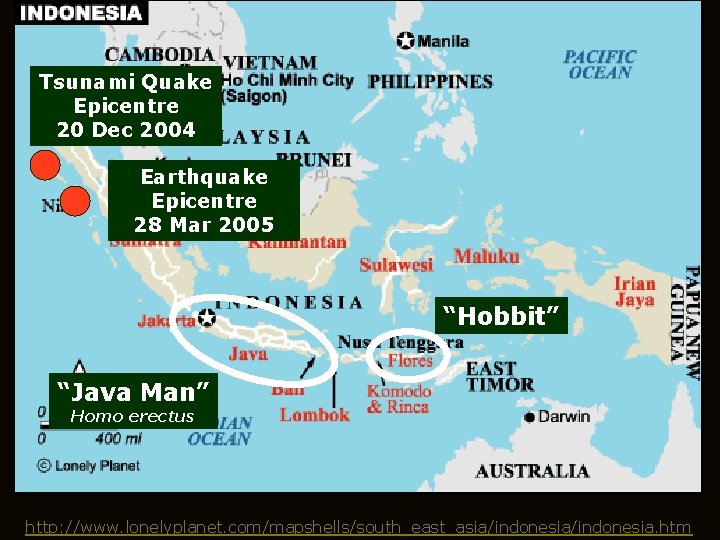 Tsunami Quake Epicentre 20 Dec 2004 Earthquake Epicentre 28 Mar 2005 “Hobbit” “Java Man”