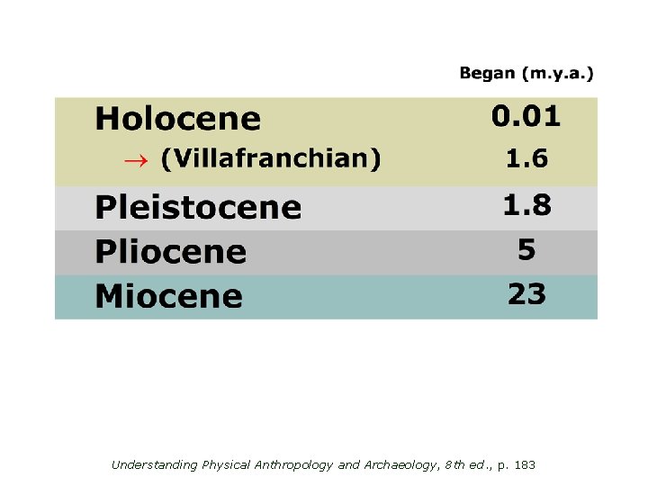 Understanding Physical Anthropology and Archaeology, 8 th ed. , p. 183 