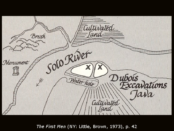 The First Men (NY: Little, Brown, 1973), p. 42 