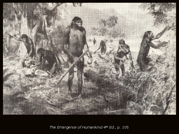 The Emergence of Humankind 4 th Ed. , p. 105 