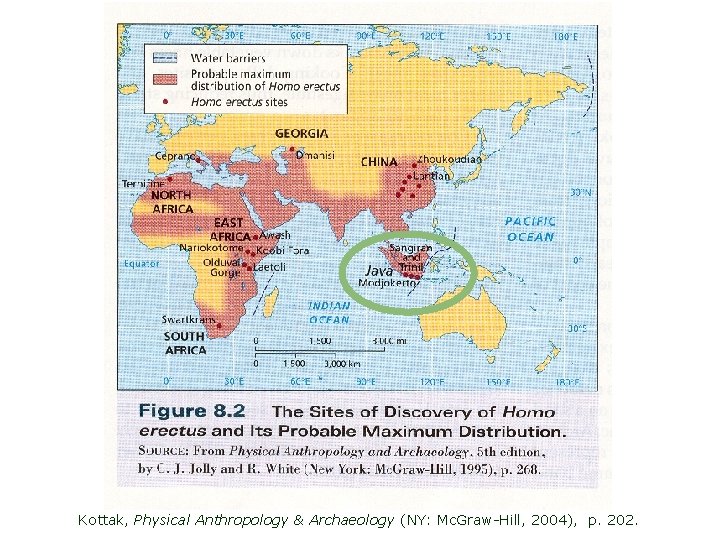 Kottak, Physical Anthropology & Archaeology (NY: Mc. Graw-Hill, 2004), p. 202. 