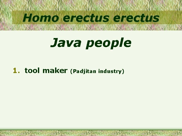 Homo erectus Java people 1. tool maker (Padjitan industry) 