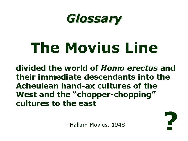 Glossary The Movius Line divided the world of Homo erectus and their immediate descendants