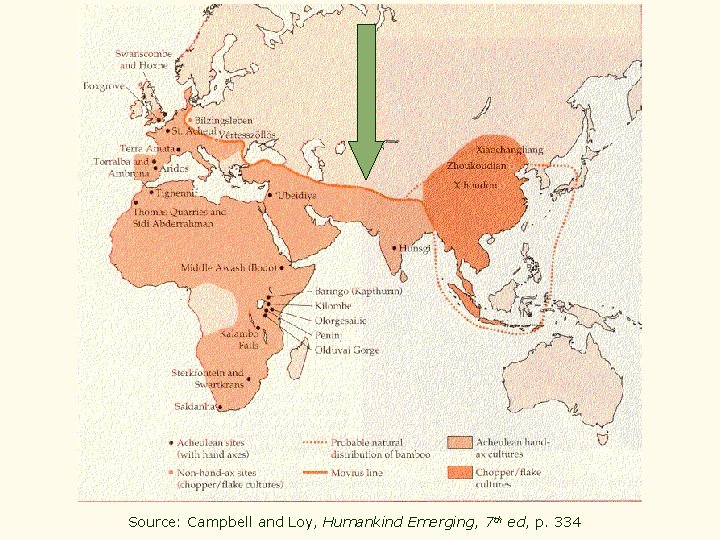 Source: Campbell and Loy, Humankind Emerging, 7 th ed, p. 334 