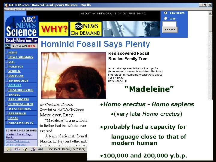 “Madeleine” • Homo erectus - Homo sapiens • (very late Homo erectus) • probably