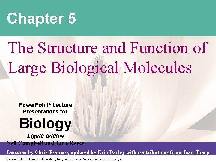 Chapter 5 The Structure and Function of Large