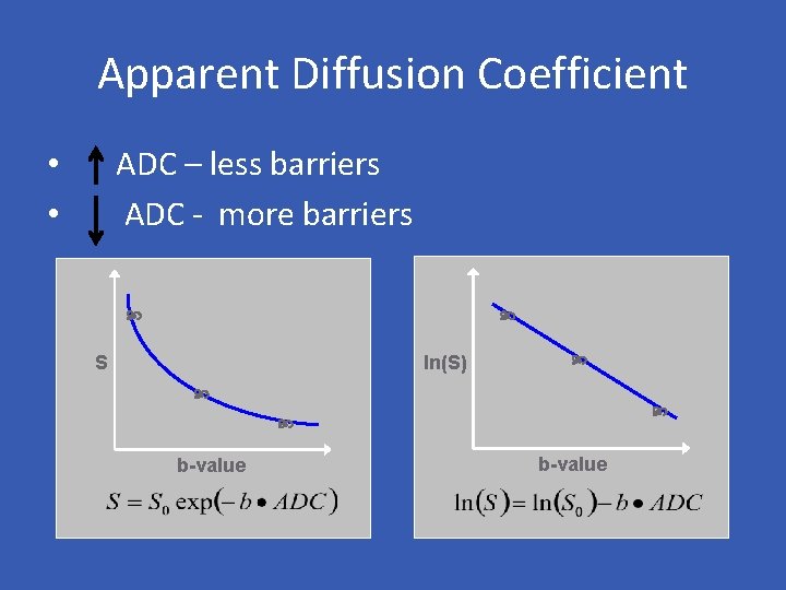 Apparent Diffusion Coefficient ADC – less barriers ADC - more barriers • • ln(S)