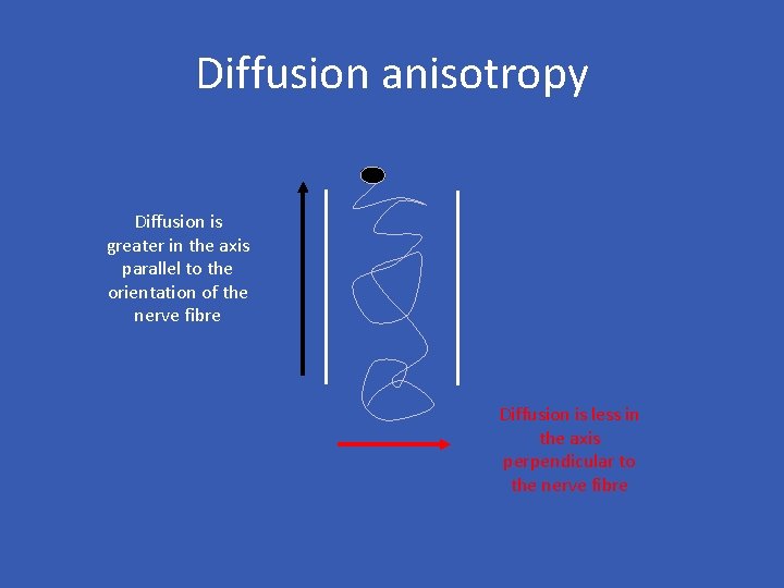 Diffusion anisotropy Diffusion is greater in the axis parallel to the orientation of the