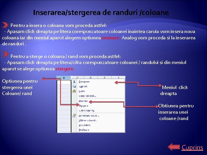 Inserarea/stergerea de randuri /coloane Pentru a insera o coloana vom proceda astfel: - Apasam