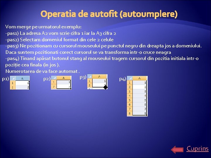 Operatia de autofit (autoumplere) Vom merge pe urmatorul exemplu: -pas 1) La adresa A