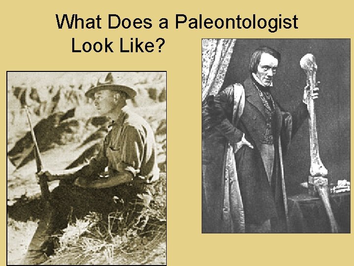 What Does a Paleontologist Look Like? 