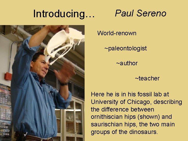 Introducing… Paul Sereno World-renown ~paleontologist ~author ~teacher Here he is in his fossil lab