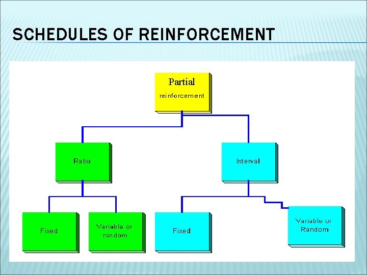 SCHEDULES OF REINFORCEMENT Partial 