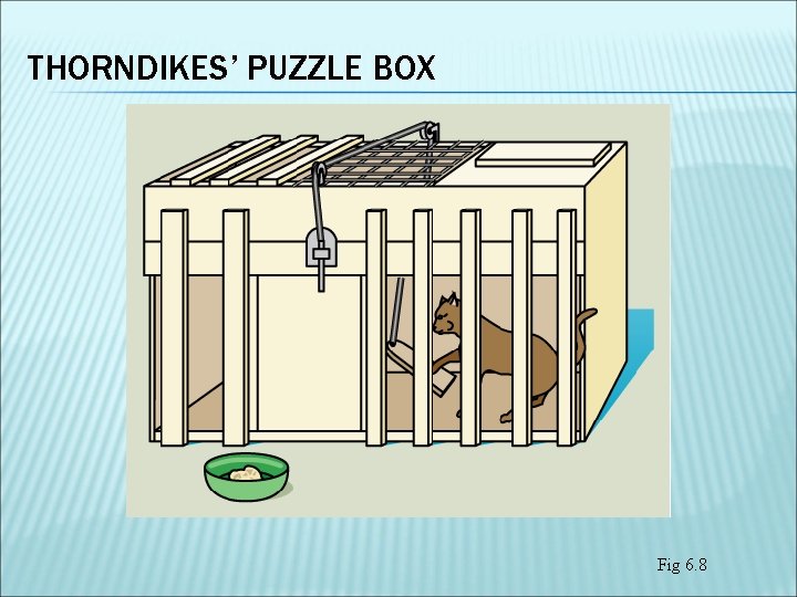 THORNDIKES’ PUZZLE BOX Fig 6. 8 