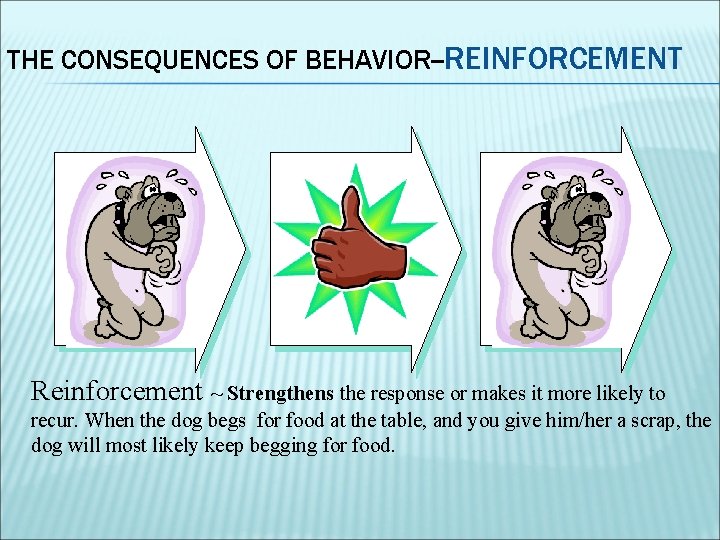 THE CONSEQUENCES OF BEHAVIOR--REINFORCEMENT Reinforcement ~ Strengthens the response or makes it more likely