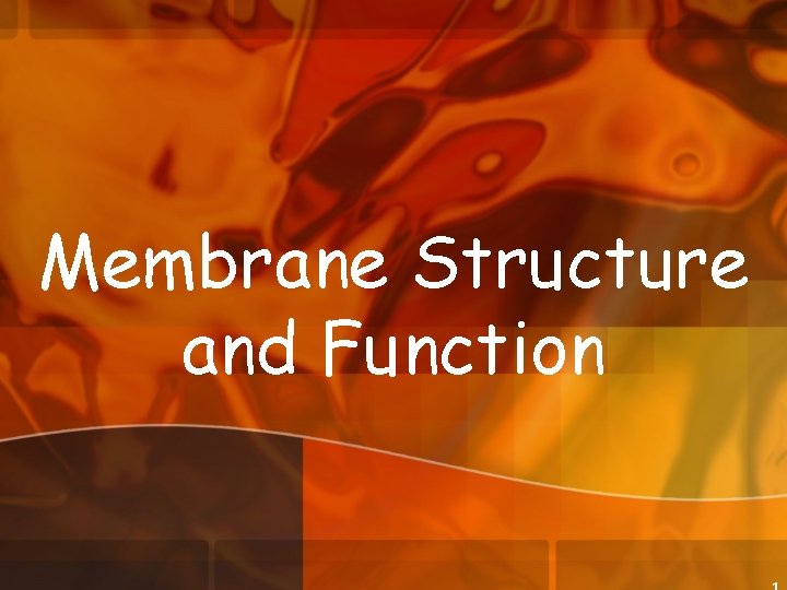 Membrane Structure and Function 1 