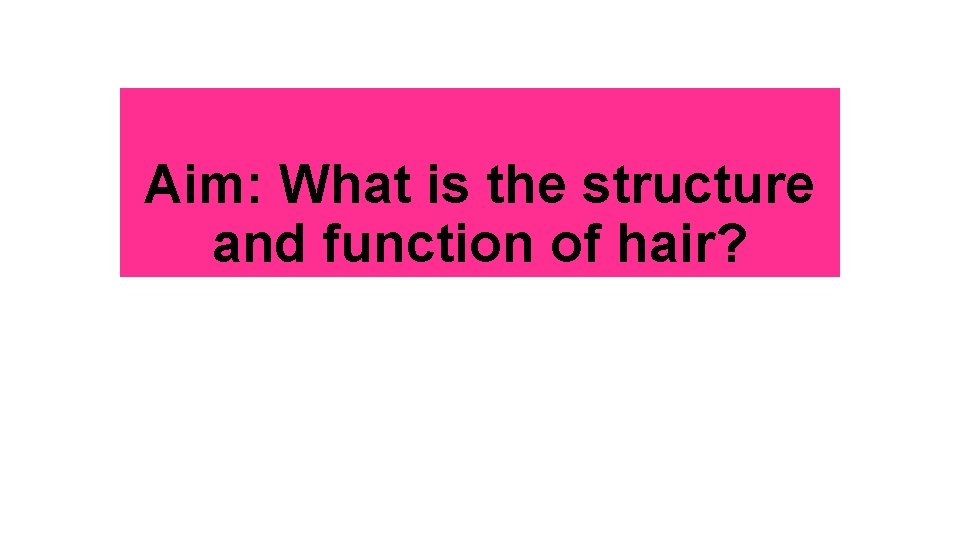 Aim: What is the structure and function of hair? 