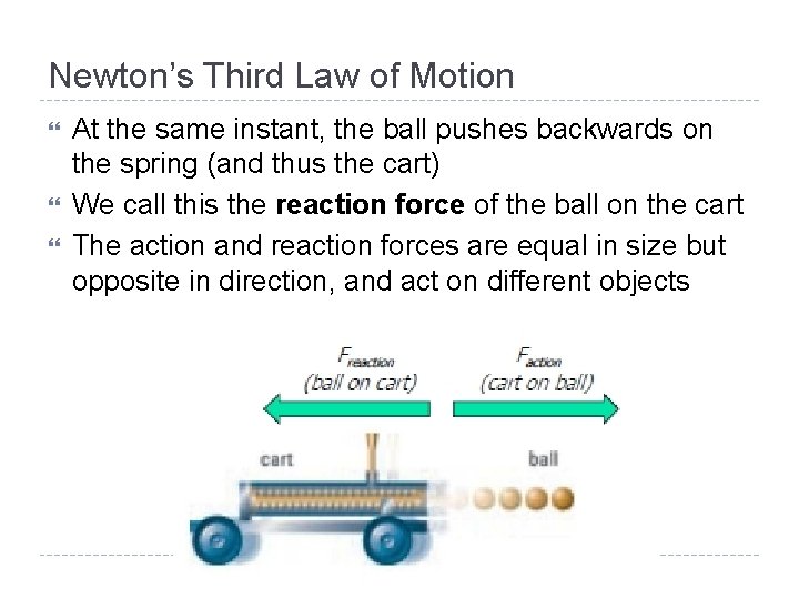 Newton’s Third Law of Motion At the same instant, the ball pushes backwards on