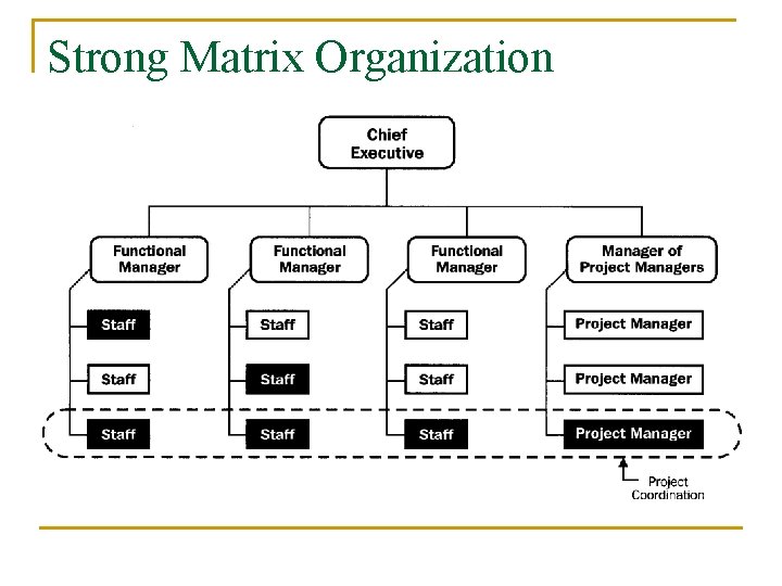 Strong Matrix Organization 