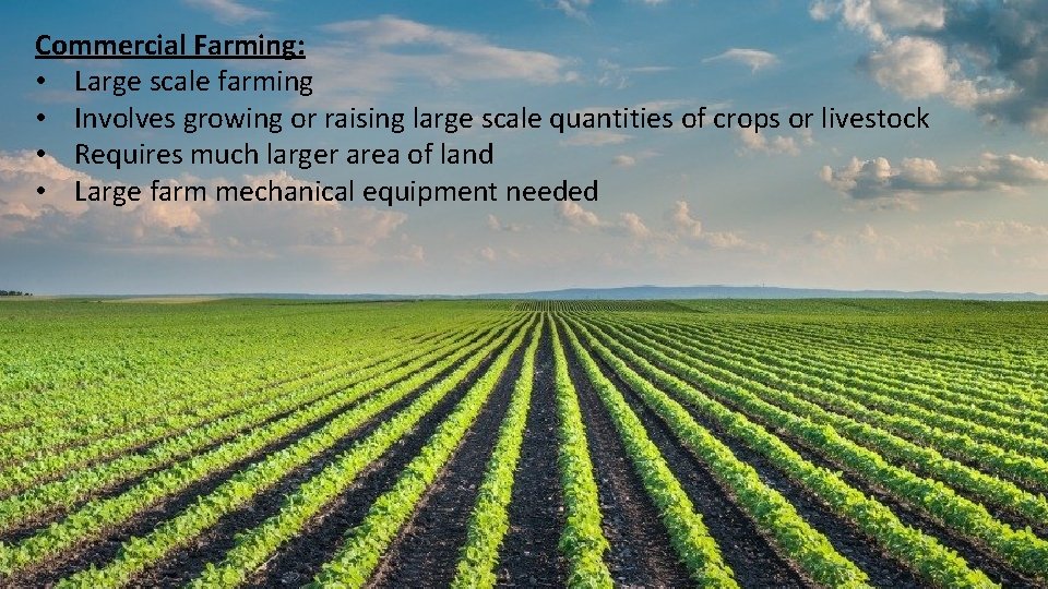 Commercial Farming: • Large scale farming • Involves growing or raising large scale quantities Commercial Farming: • Large scale farming • Involves growing or raising large scale quantities