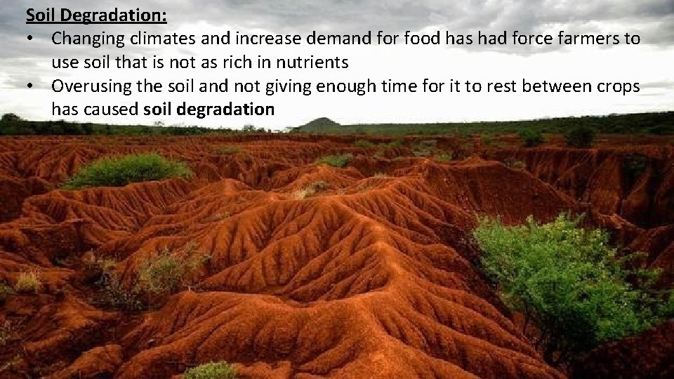 Soil Degradation: • Changing climates and increase demand for food has had force farmers Soil Degradation: • Changing climates and increase demand for food has had force farmers
