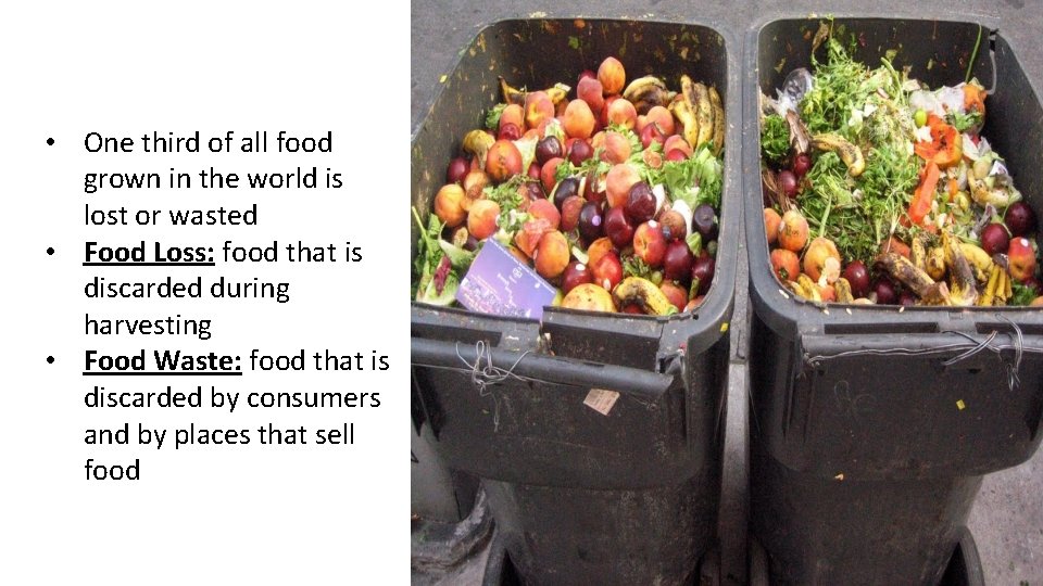 • One third of all food grown in the world is lost or • One third of all food grown in the world is lost or