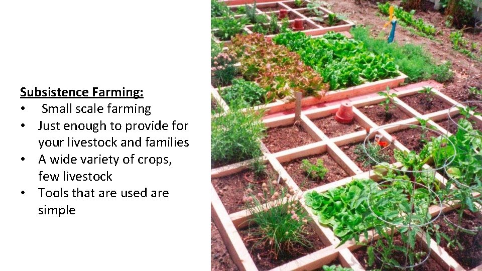 Subsistence Farming: • Small scale farming • Just enough to provide for your livestock Subsistence Farming: • Small scale farming • Just enough to provide for your livestock