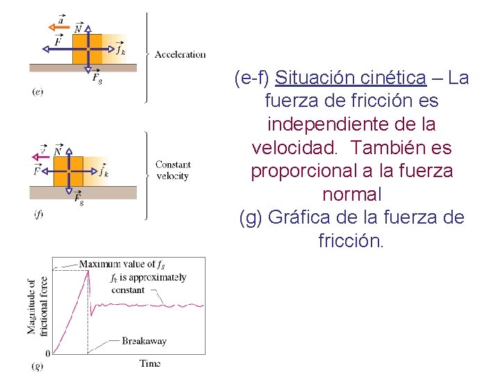 (e-f) Situación cinética – La fuerza de fricción es independiente de la velocidad. También