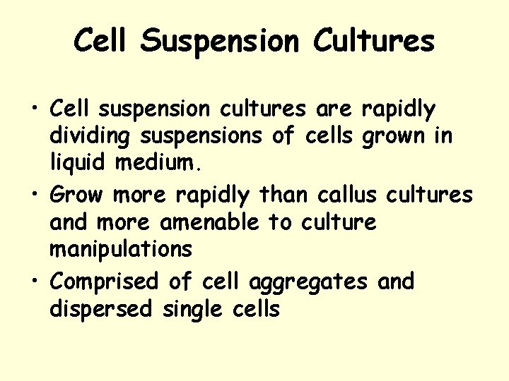 Cell Suspension Cultures • Cell suspension cultures are rapidly dividing suspensions of cells grown