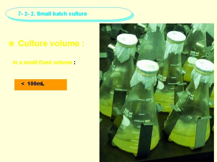 7 - 2 - 2. Small batch culture ＊ Culture volume : in a
